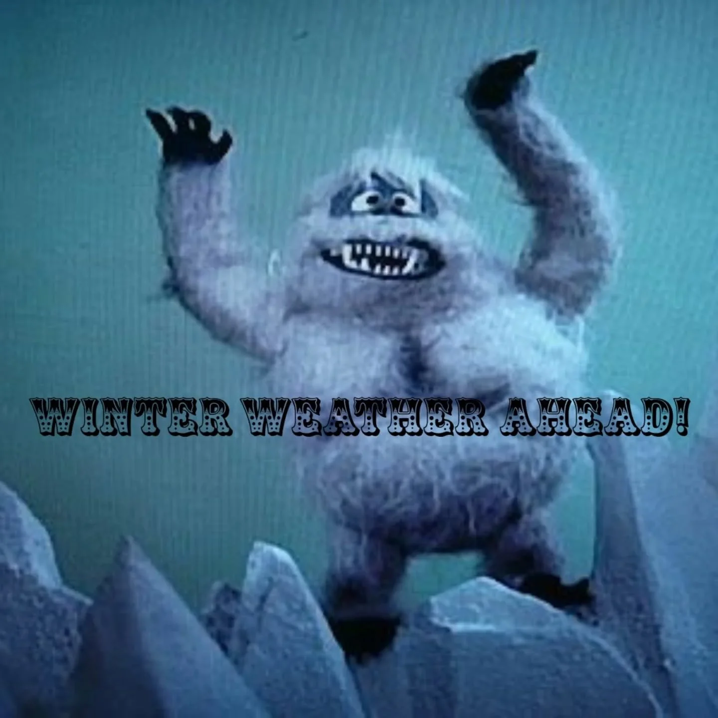 Entering the slow season, we'll have a limited menu on Saturdays @delrayfarmersmarket while the weather isn't cooperating. 

Look out for this guy for fair warning. 

This Saturday, we'll have Il Brutto, Focaccia, Brutto Bagels and Pizza dough. 

Thi