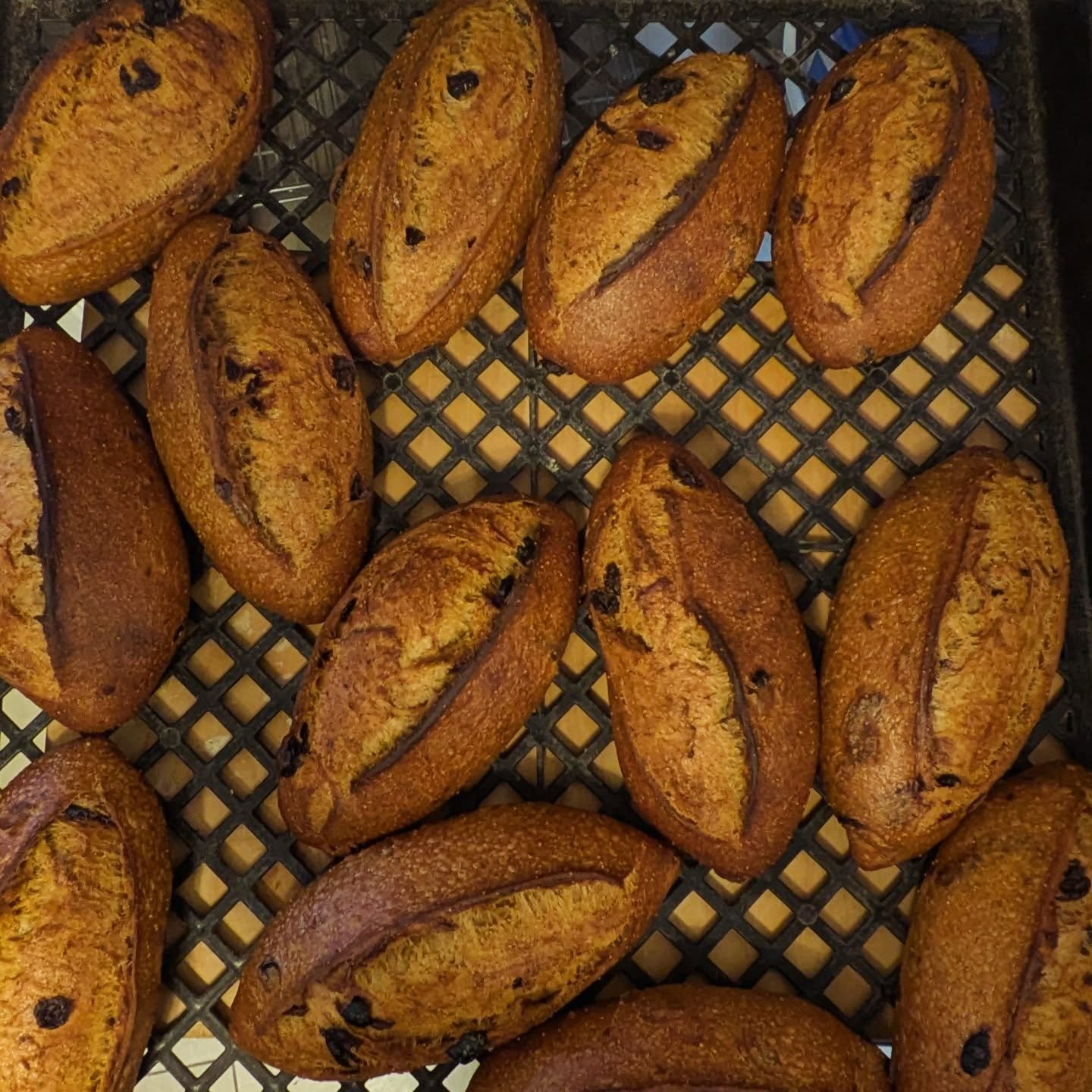 No @deptofbeerandwine bread on Thursday this week. The bakery has been without power and water for most of today. 

I will try again for Friday.

If not, please come see us at @delrayfarmersmarket, Saturday 8a-12p! ❤️💥❤️