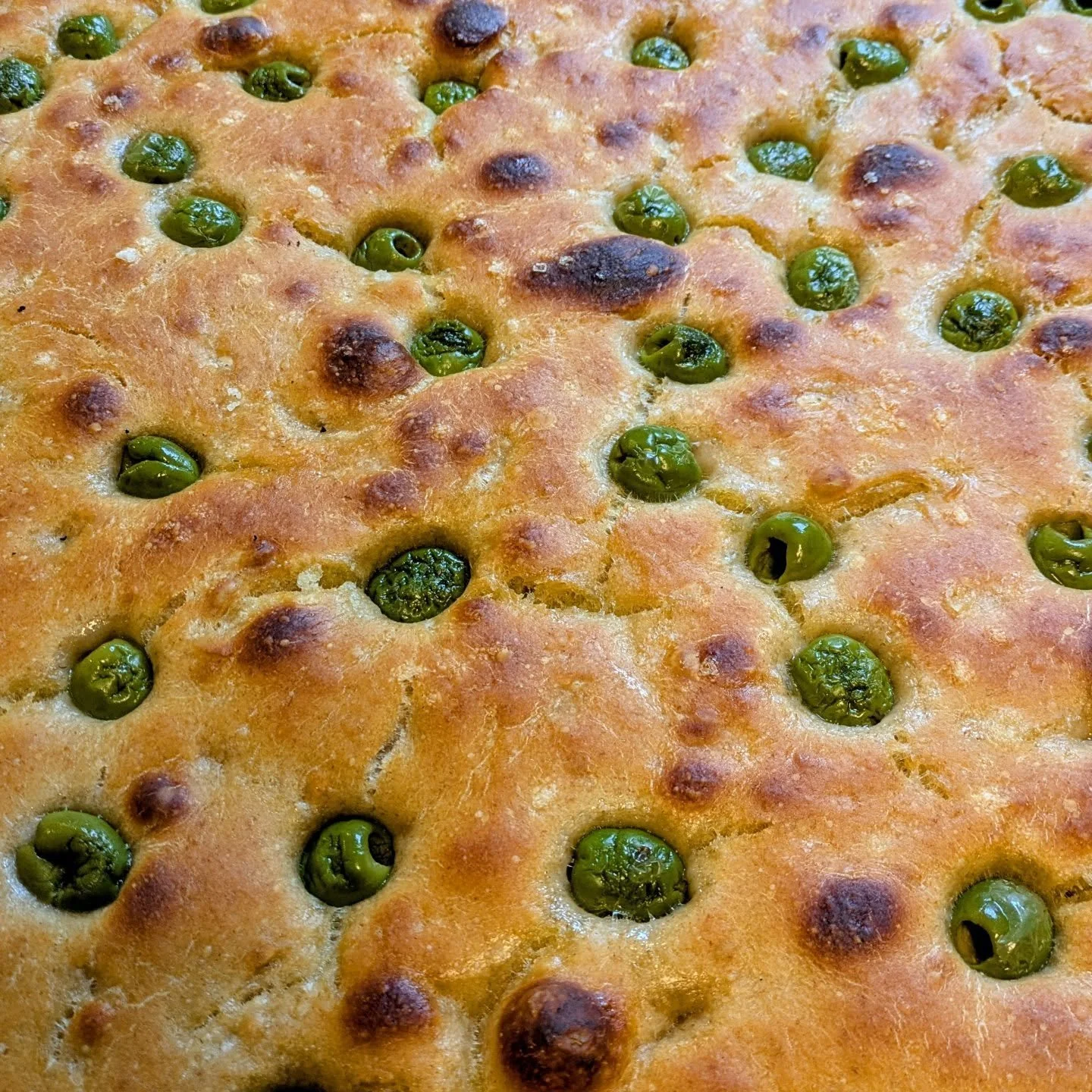 Something special for @deptofbeerandwine today. Castelvetrano Olive focaccia (transitional style, not Frankenstein) and Spelt baguettes. 

Available after 2pm!