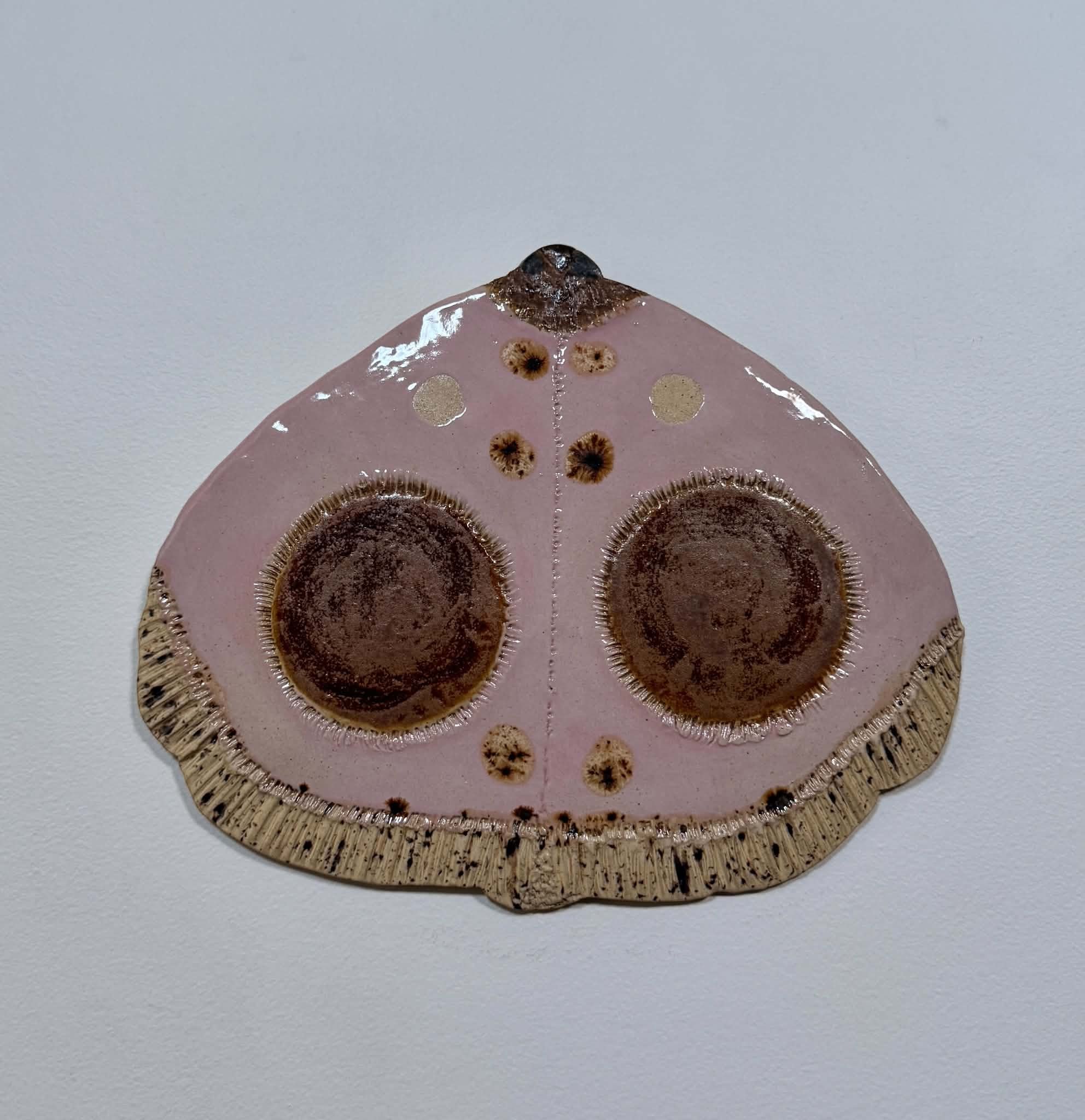 Pink specked moth