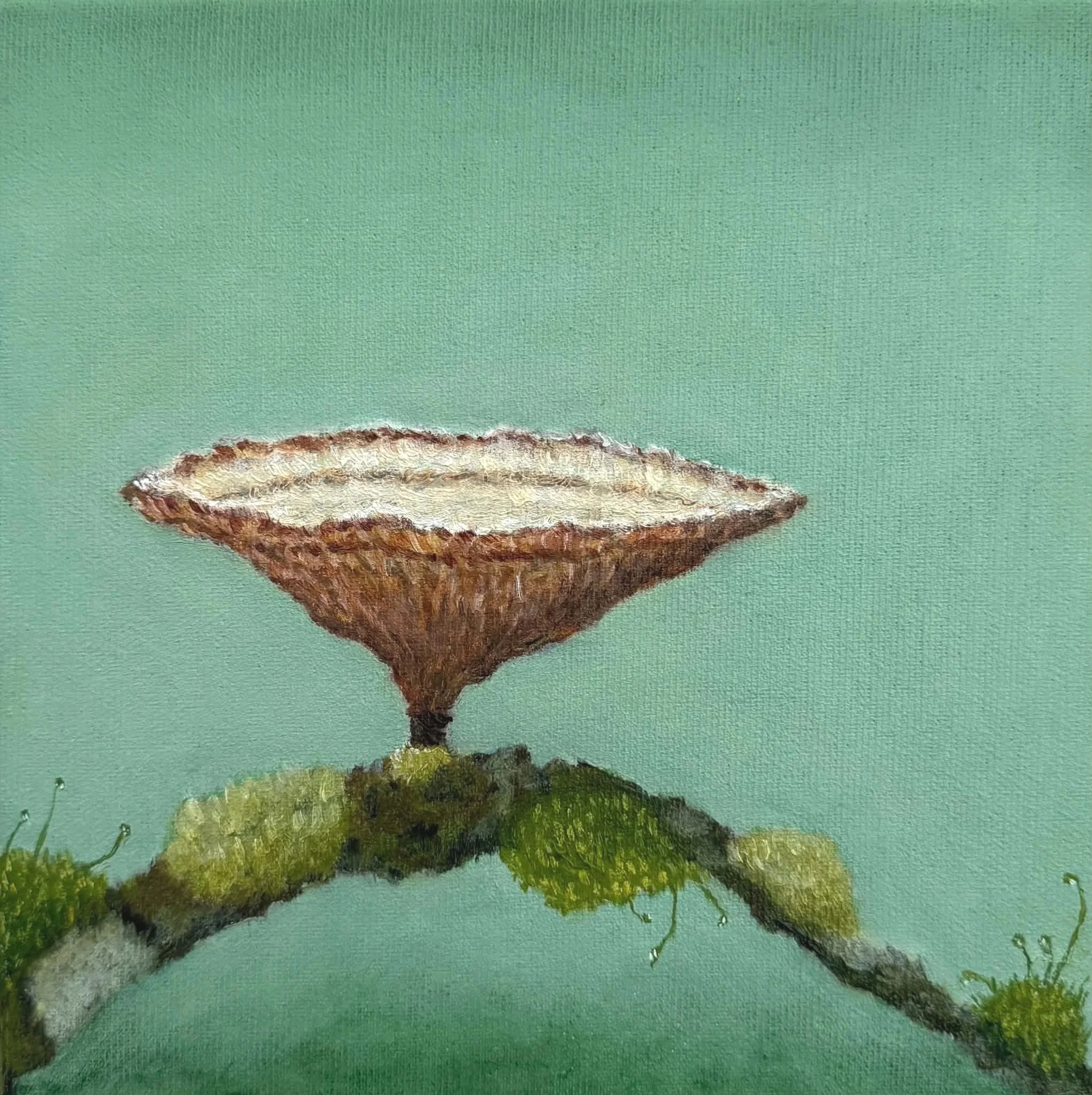 “ Nature’s offering “