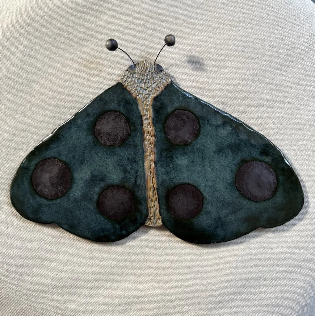 “ Mossy moth “ currently @the_localnest Robertson