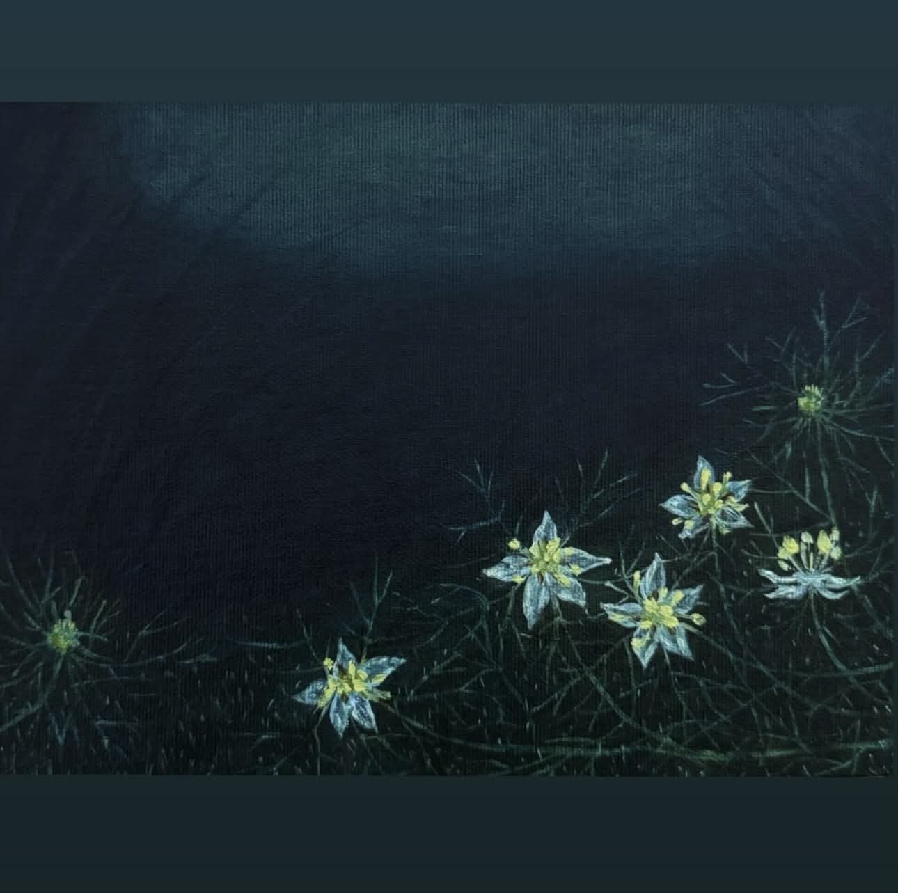 “ Midnight Calm “