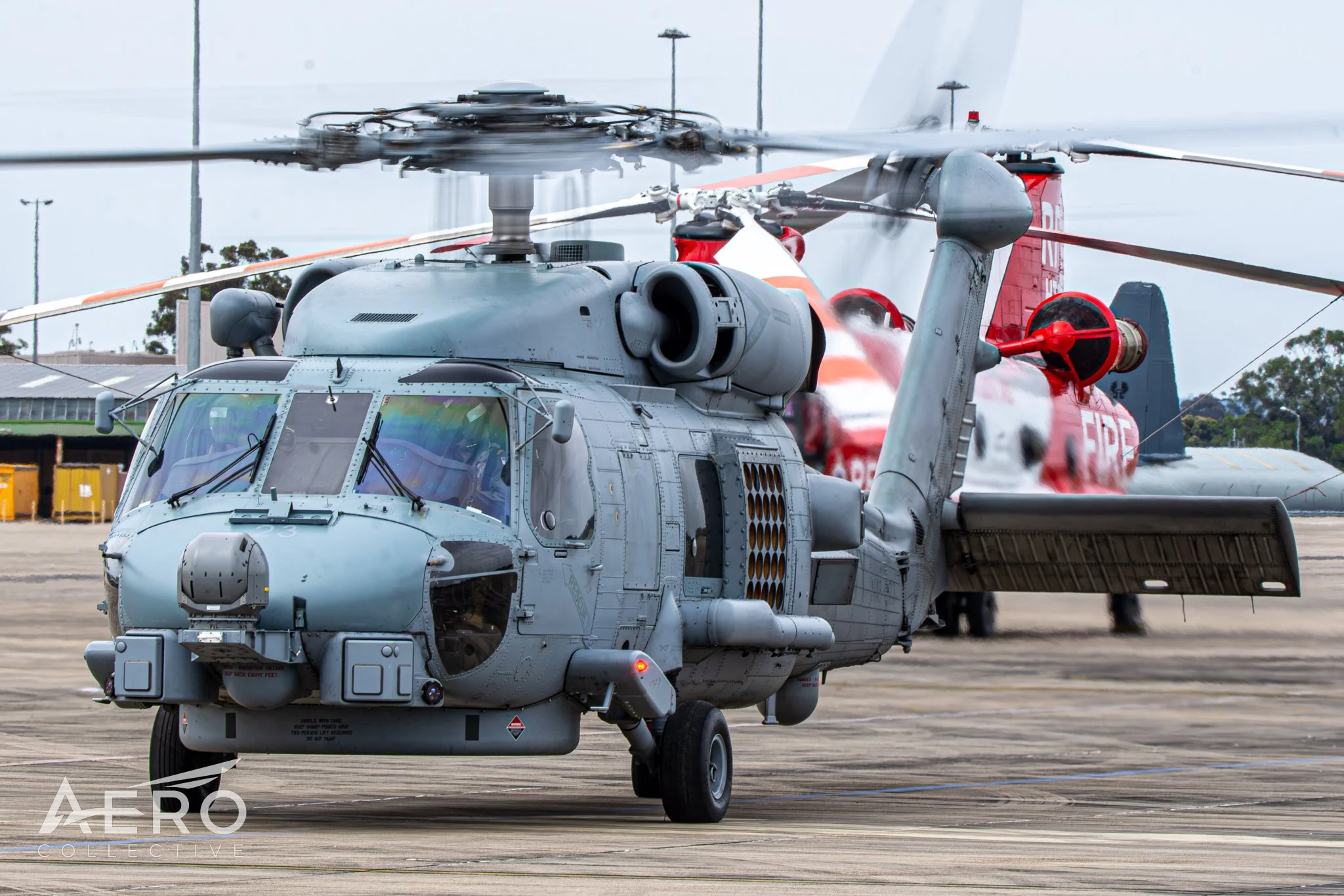 DSC_7993-4.jpg