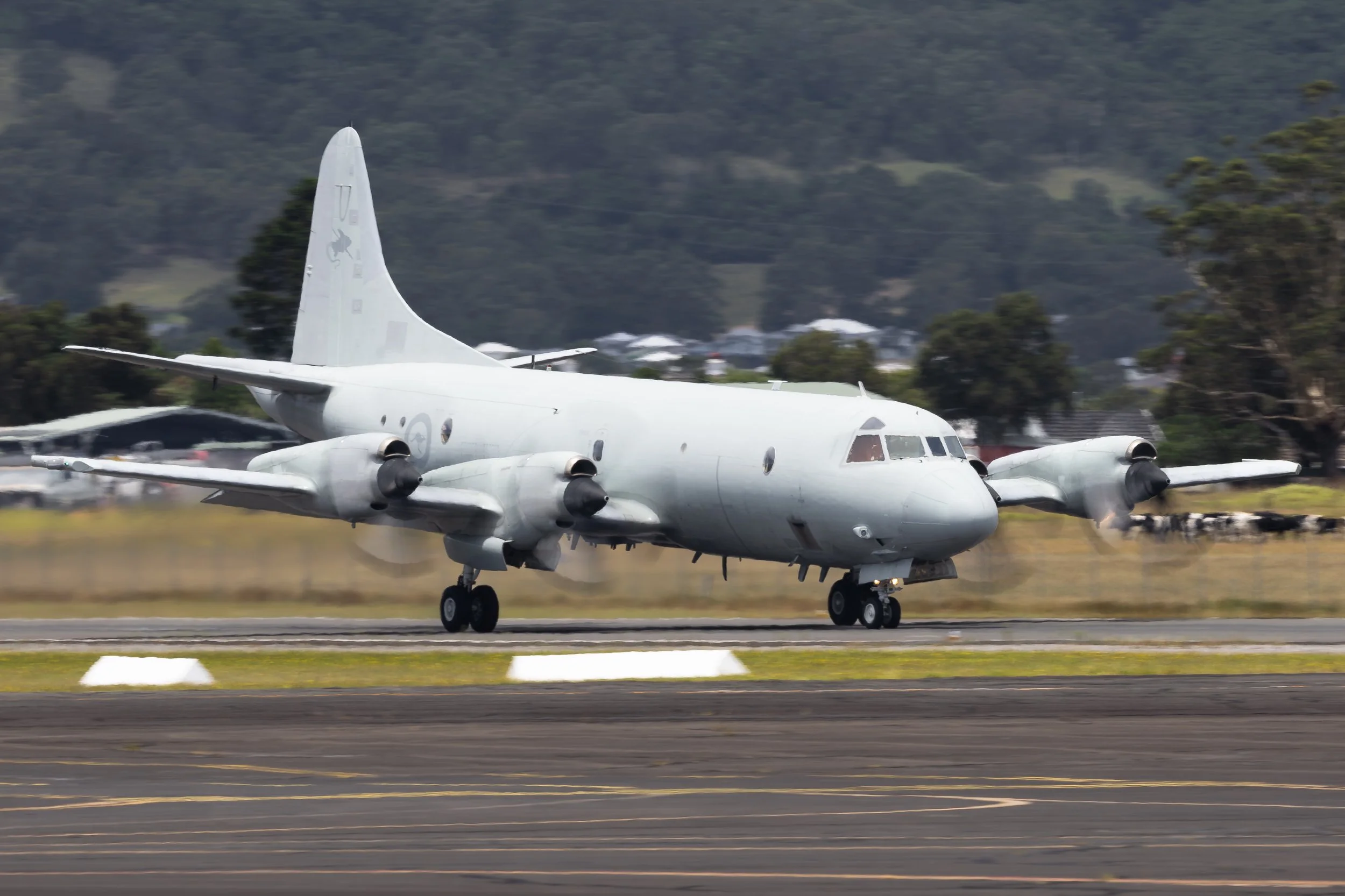 tarmac day-6.jpg