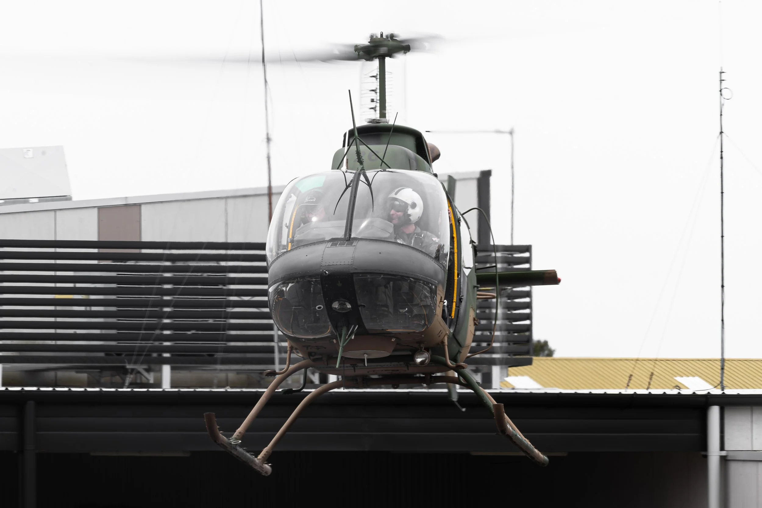 tarmac day-7.jpg