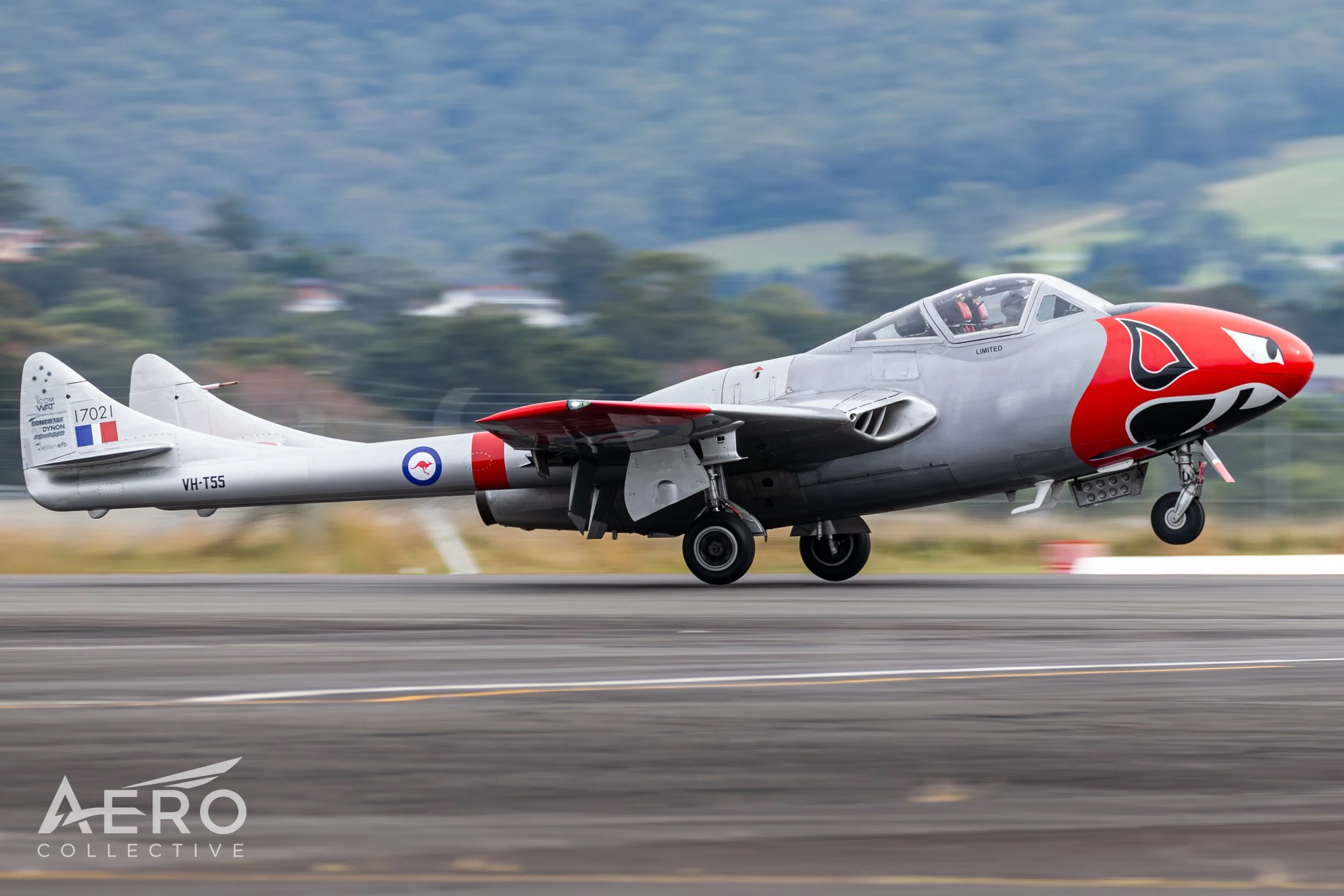 AO8Q2810.jpg