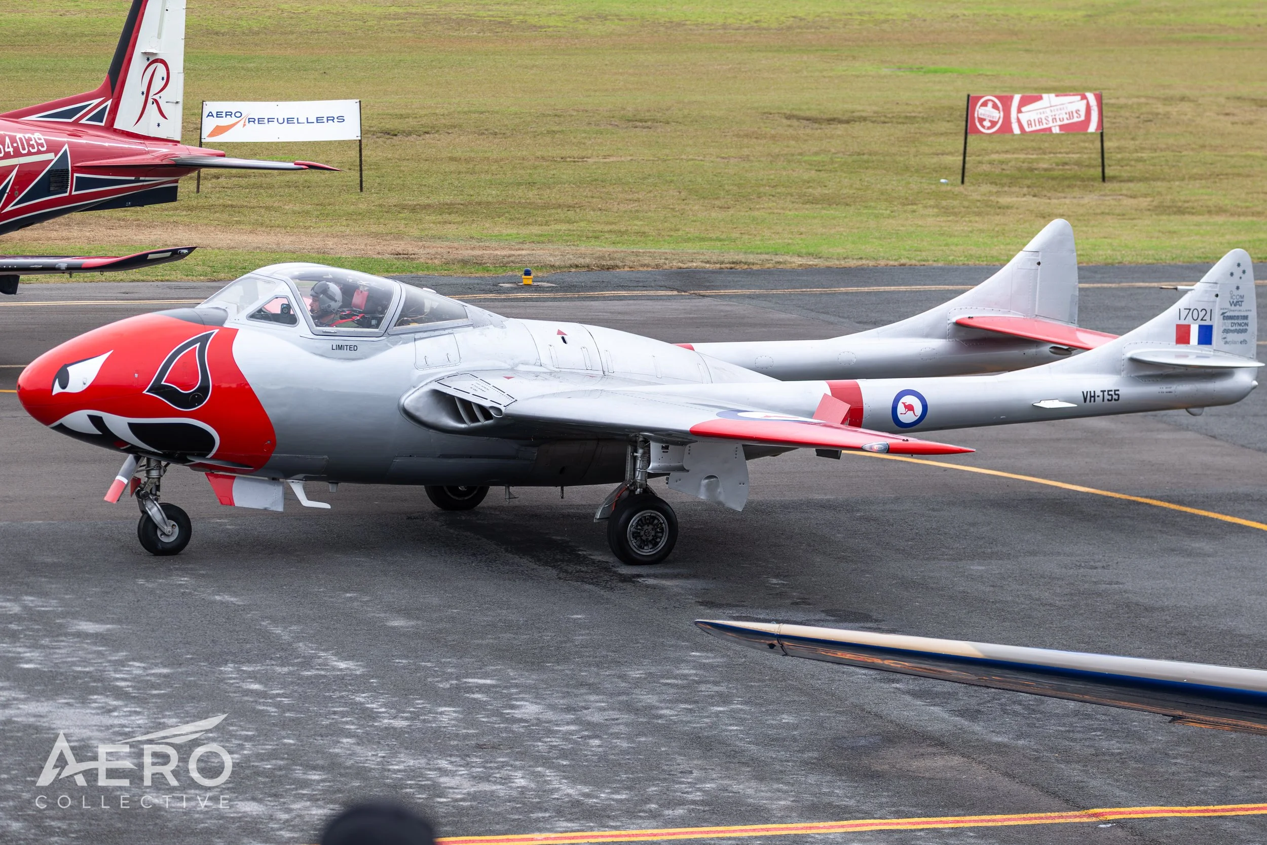 AO8Q3295.jpg