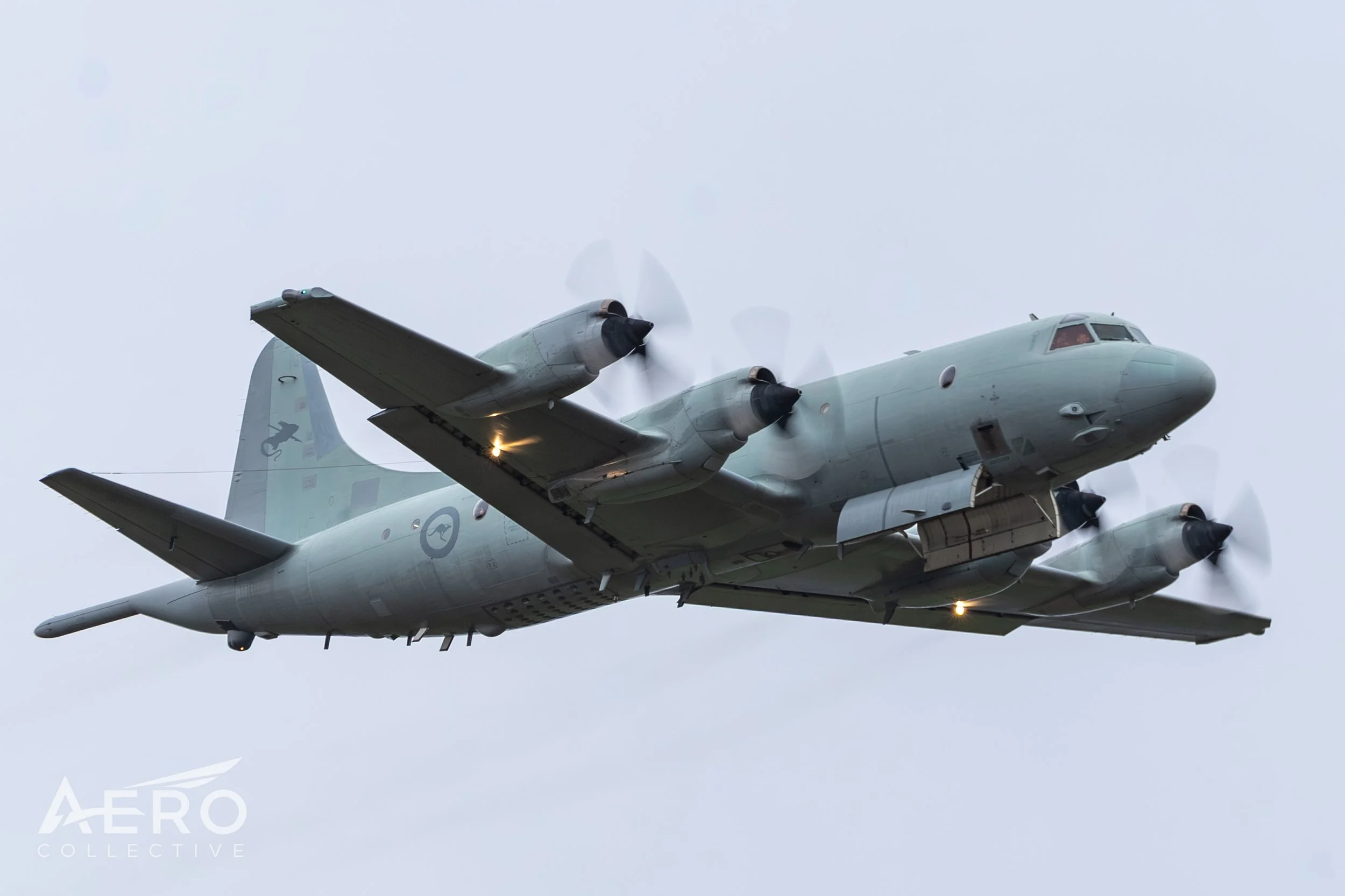 AO8Q4631.jpg