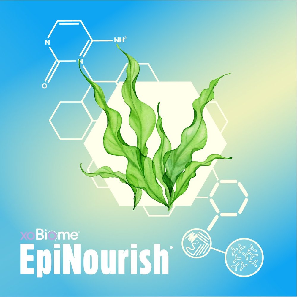 XOBiome | Raw Materials — BiomeCentric