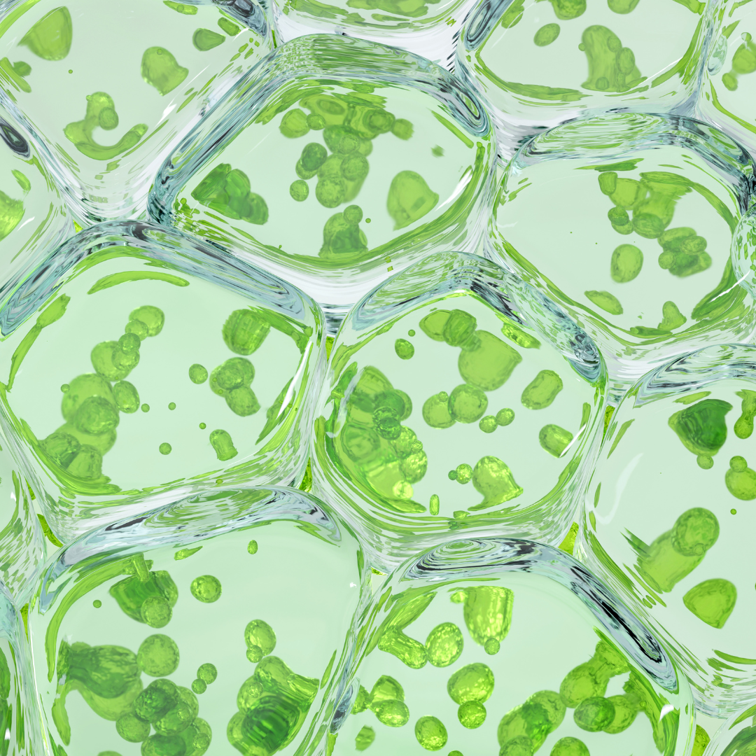 BiomeCentric | Home | Microbiome-Centric Health & Beauty