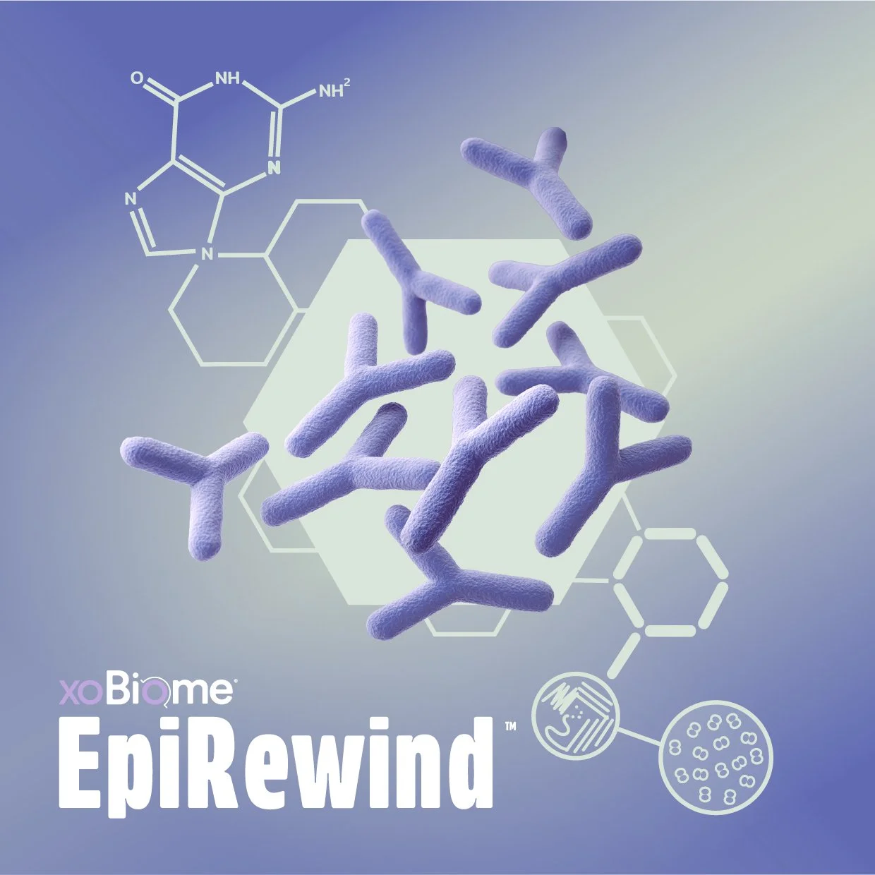 XOBiome | Raw Materials — BiomeCentric