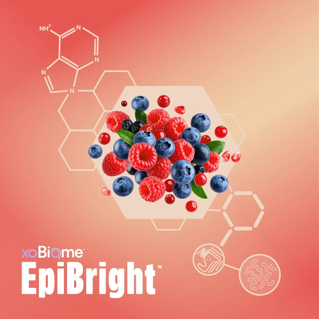 XOBiome | Raw Materials — BiomeCentric