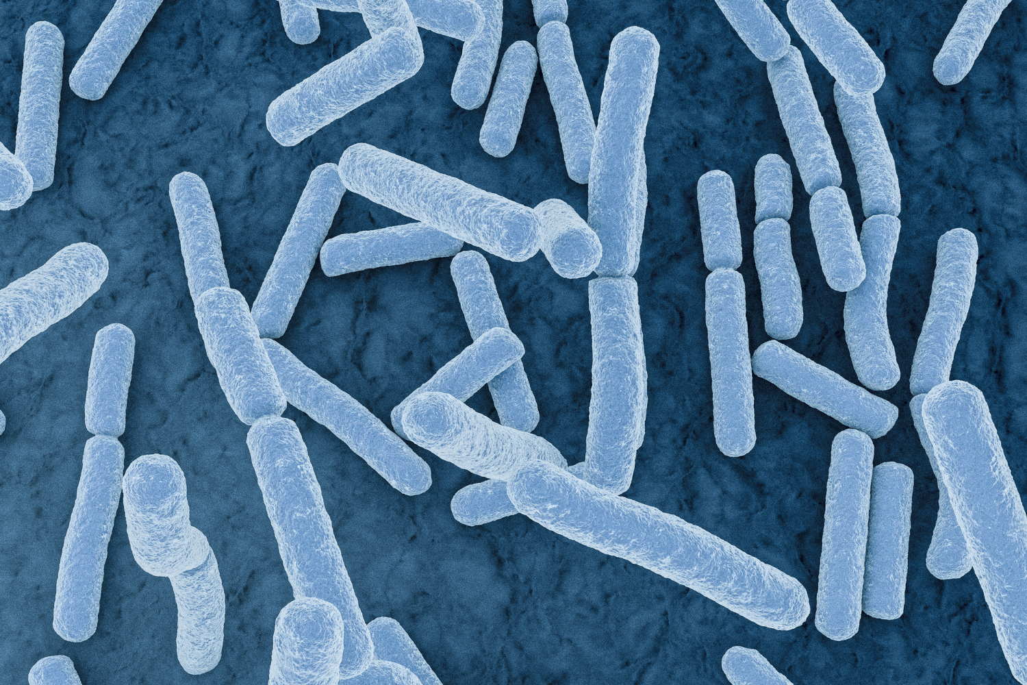 microbes used in skincare ingredients