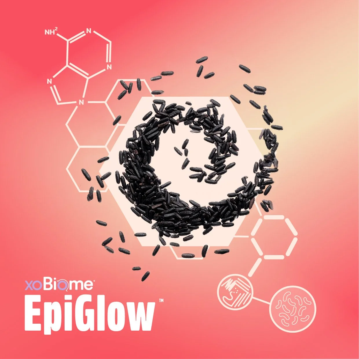 XOBiome | Raw Materials — BiomeCentric