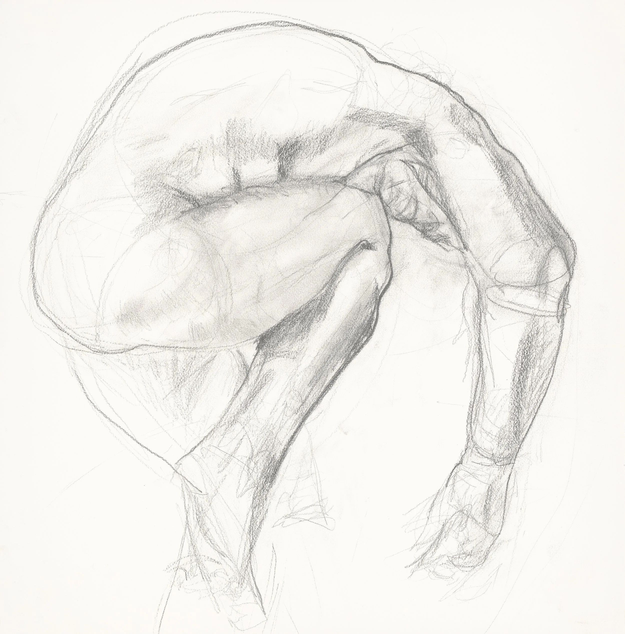 contortions no frame.jpg