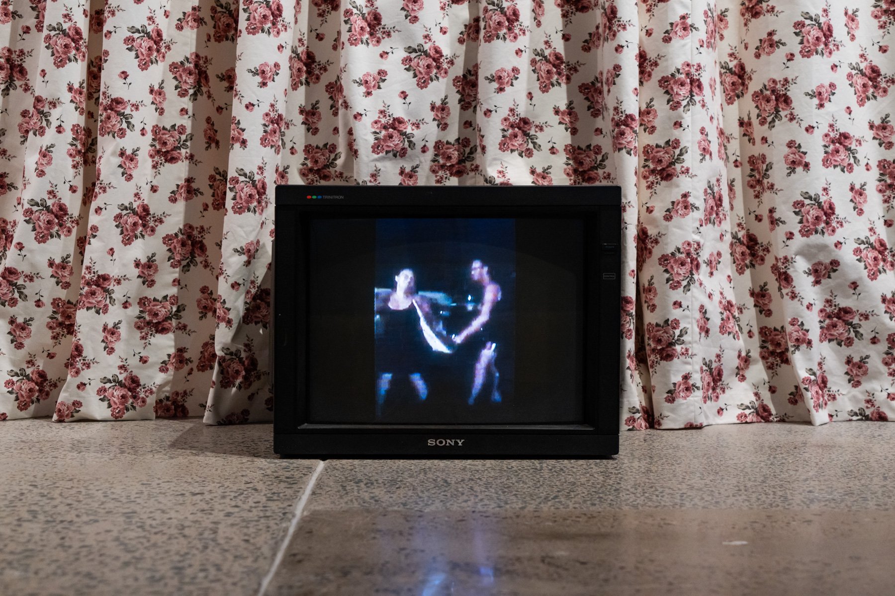 IMA Raphaela Rosella LR-18.jpg