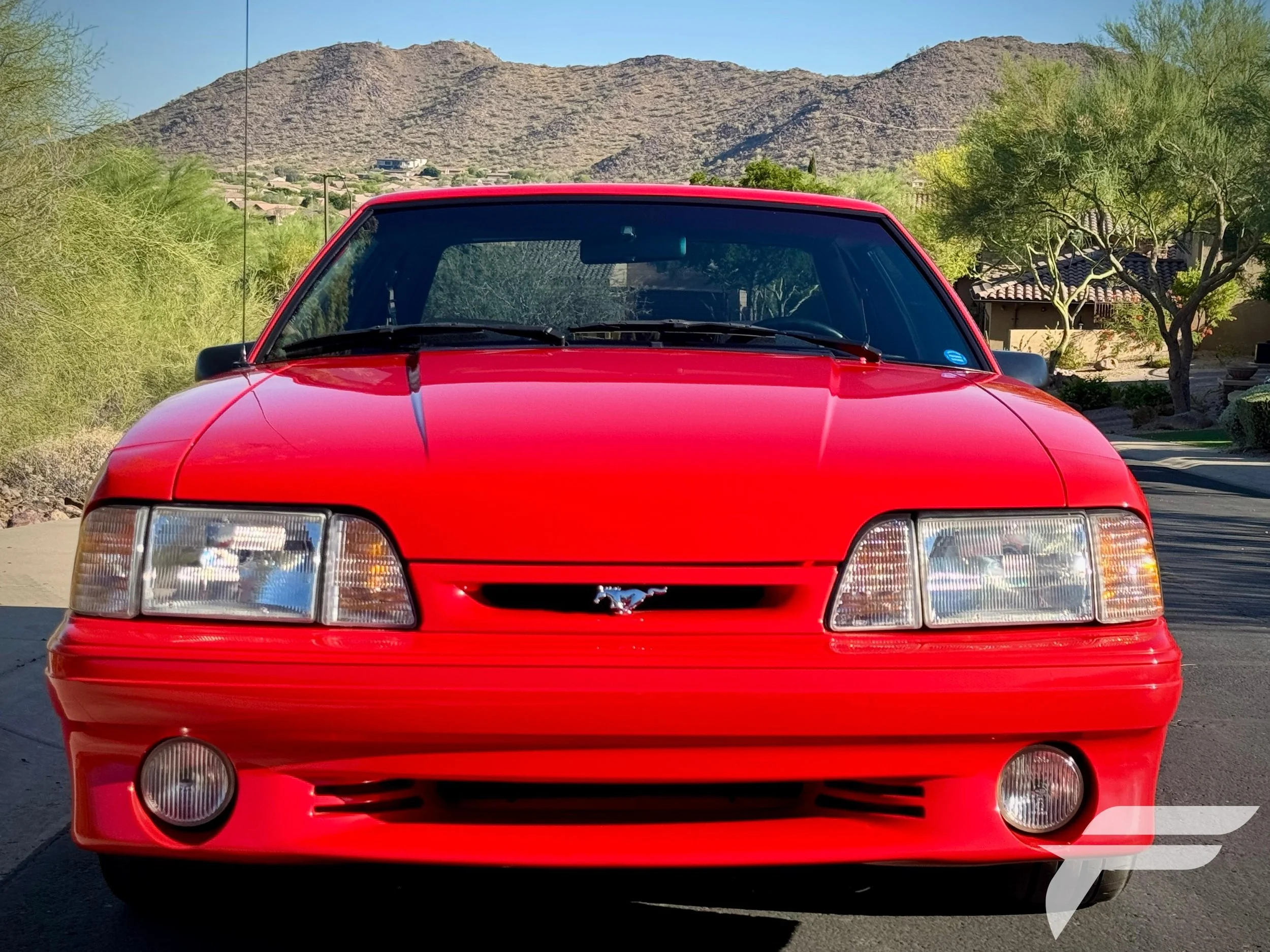 zIMG_7257.jpg