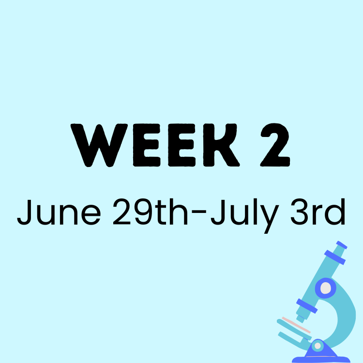 Summer Camp Cascade Enrichment Week 2 (1).png