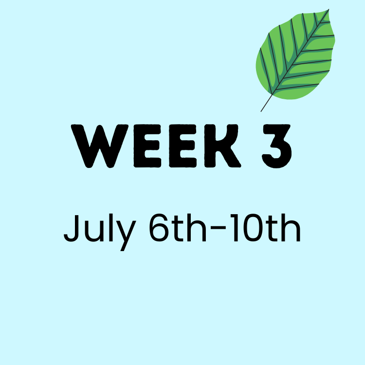 Summer Camp Cascade Enrichment Week 3 (1).png