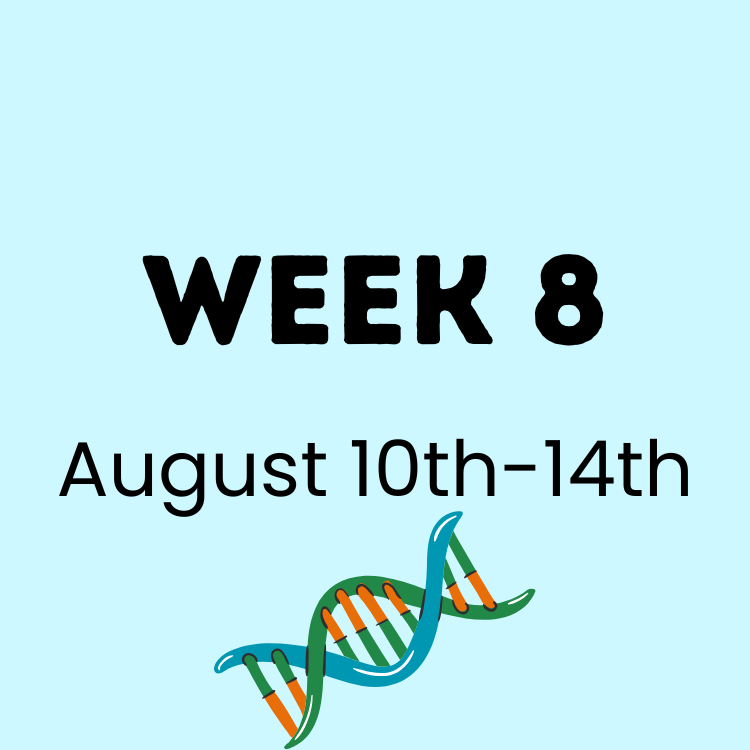 Summer Camp Cascade Enrichment Week 8 (1).png