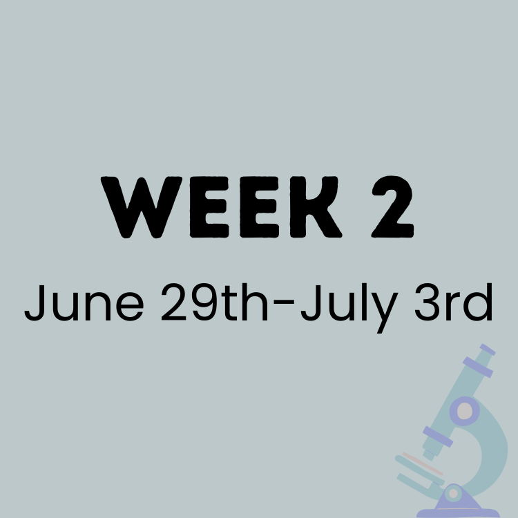 Week 2 CE Camp (2).png