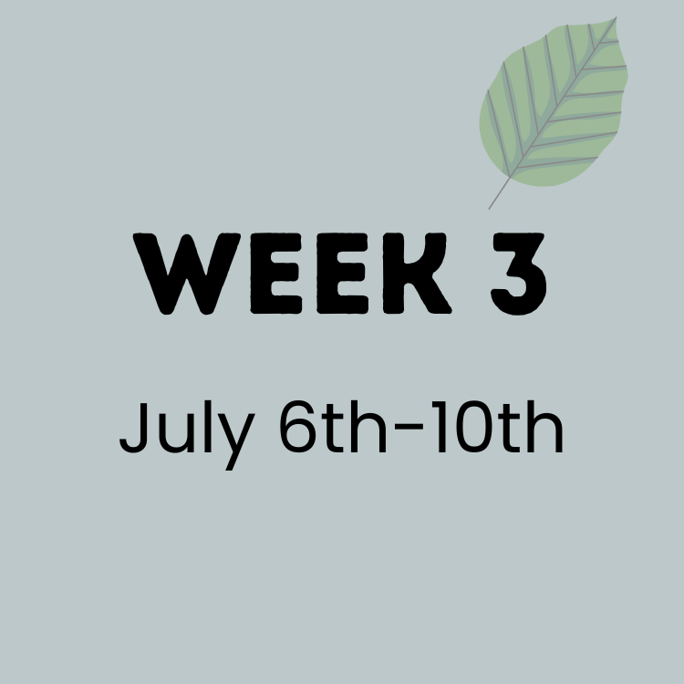 Week 3 CE.png