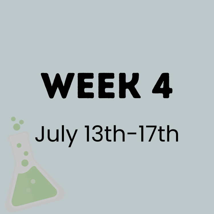Week 4 CE.png