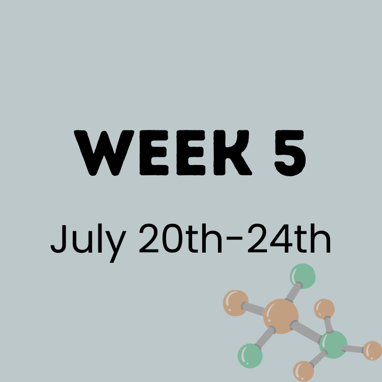 Week 5 CE.png