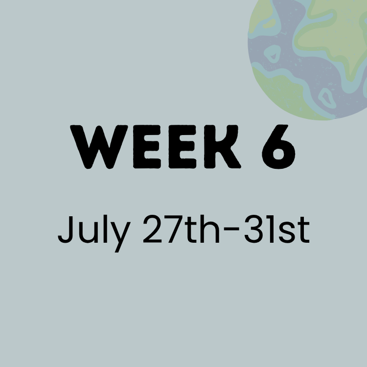 Week 6 CE.png