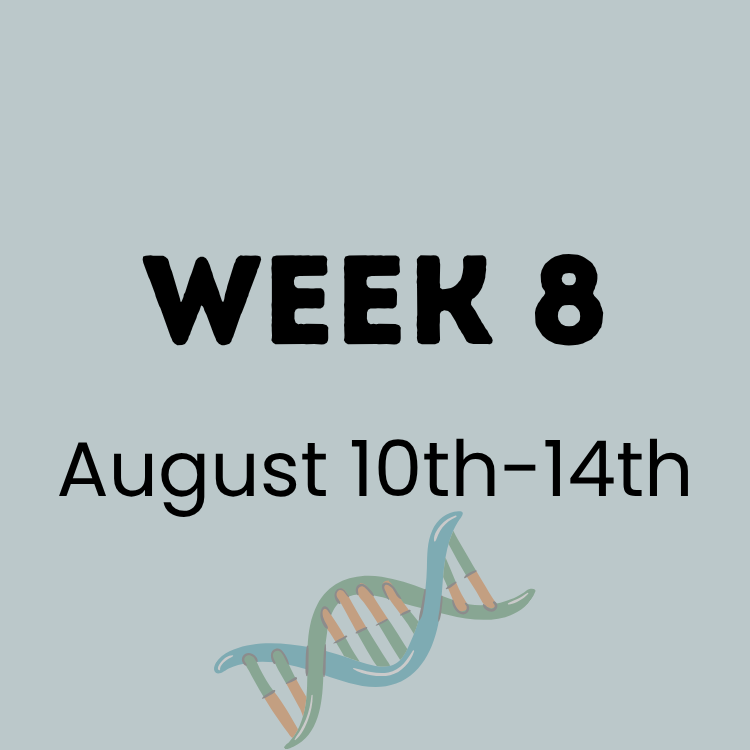 Week 9 Cascade Camp.png