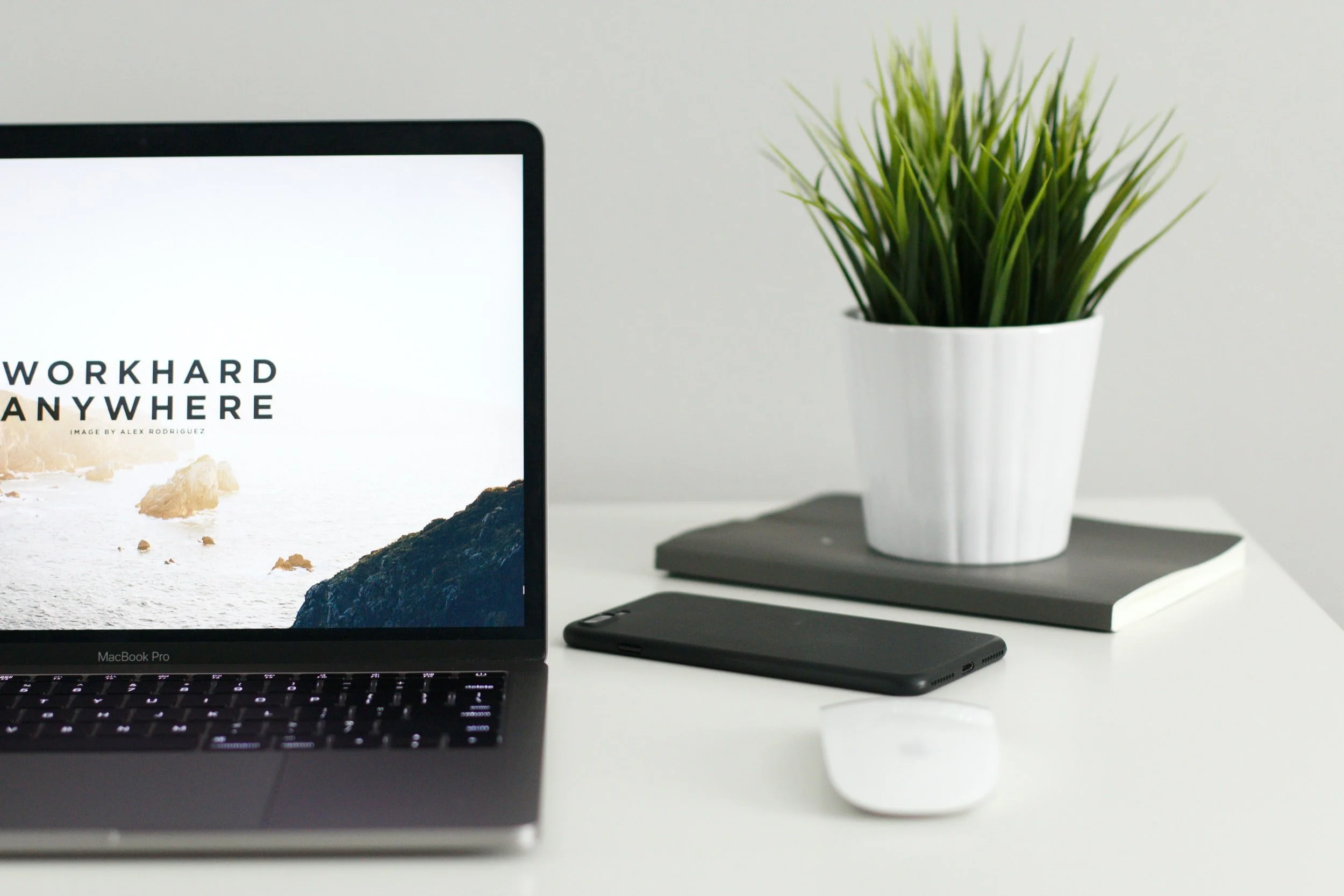 unsplash-image-zNRITe8NPqY.jpg