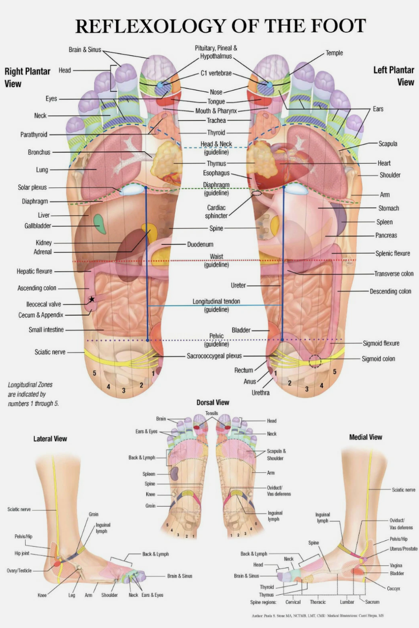 Reflexology foot chart with acupressure points