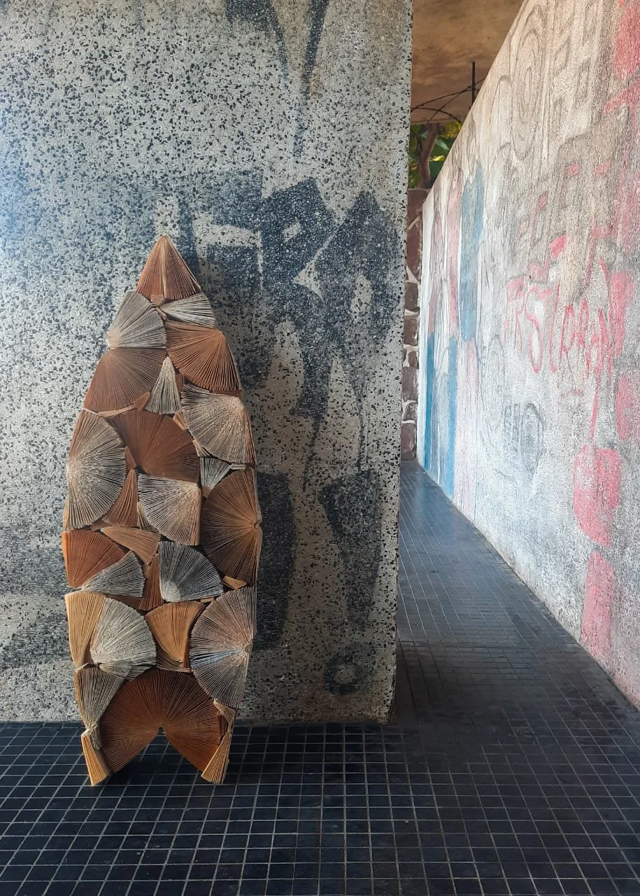 WhatsApp Image 2023-08-08 at 16.14.59.jpeg