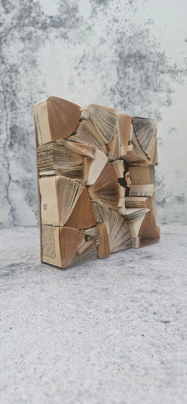 WhatsApp Image 2025-12-08 at 18.51.19.jpeg