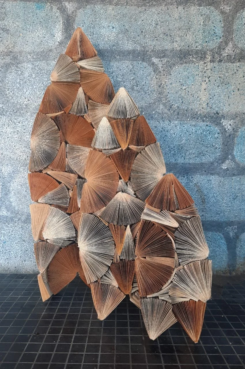 WhatsApp Image 2023-08-08 at 16.08.37.jpeg