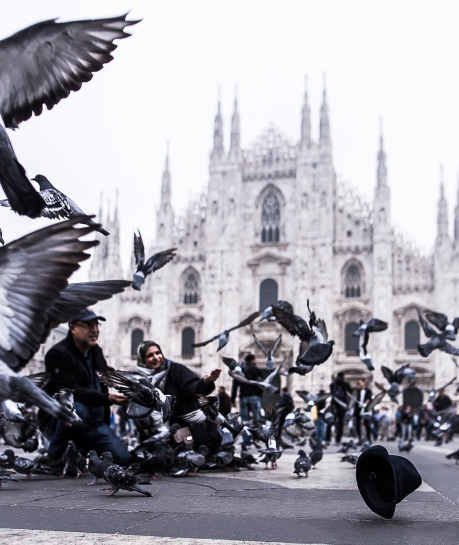 Duomo di Milano.jpg