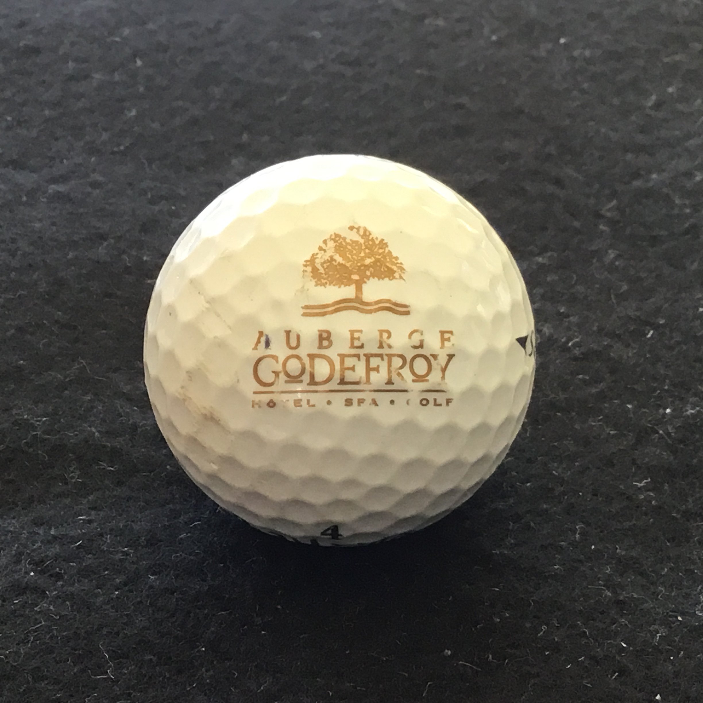 Auberge Godfrey Hotel Spa and Golf