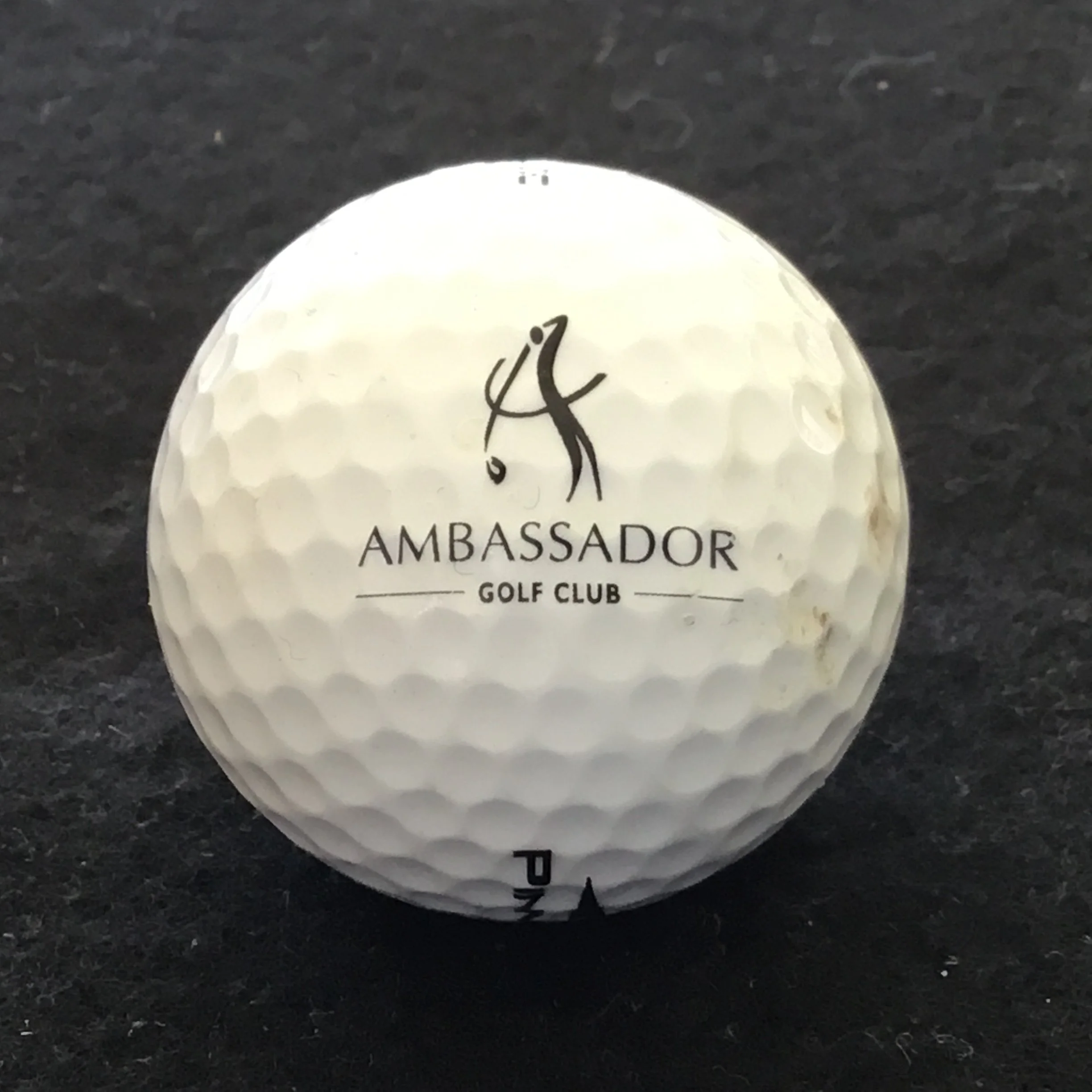 Ambassador Golf Club