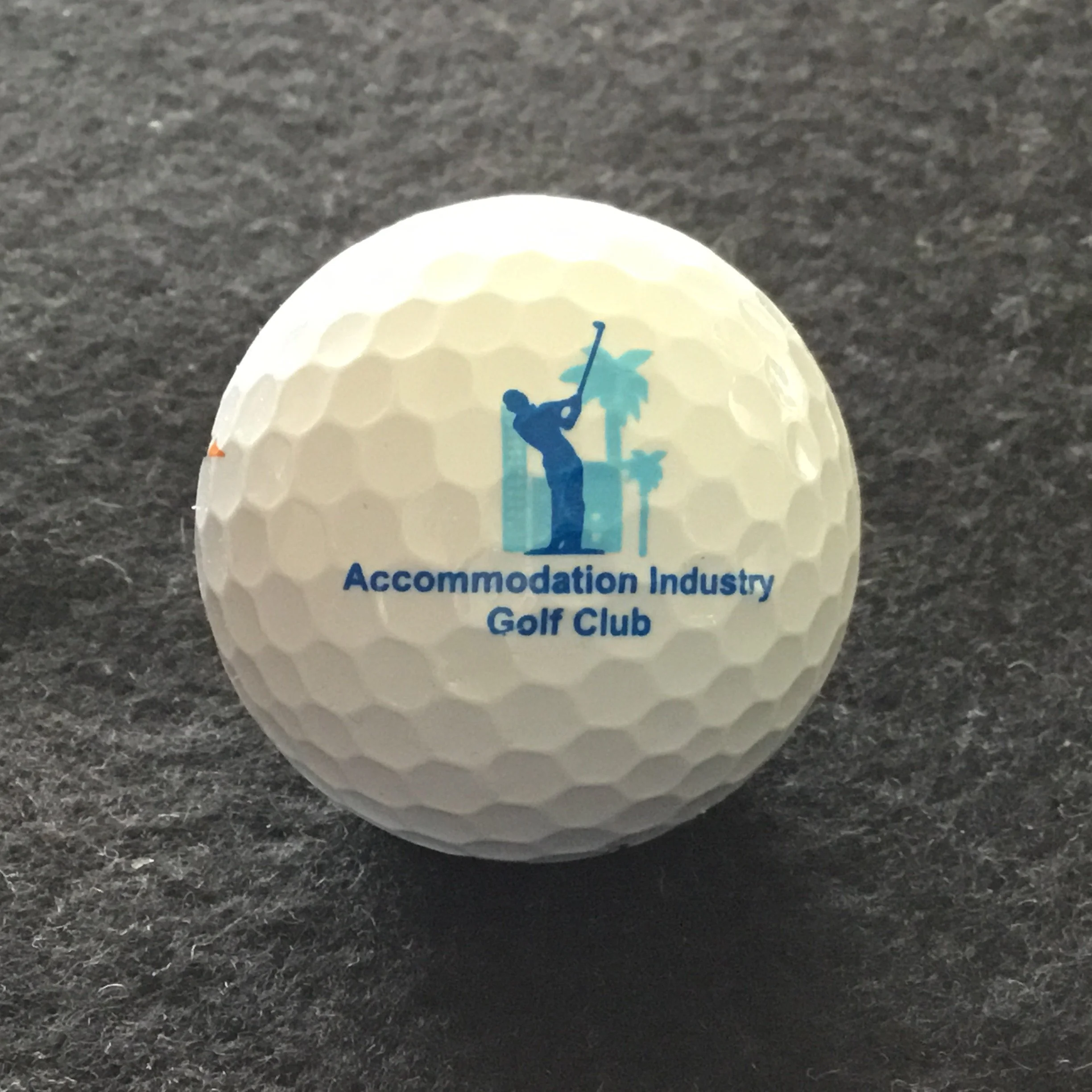 Accommodation Industry Golf Club
