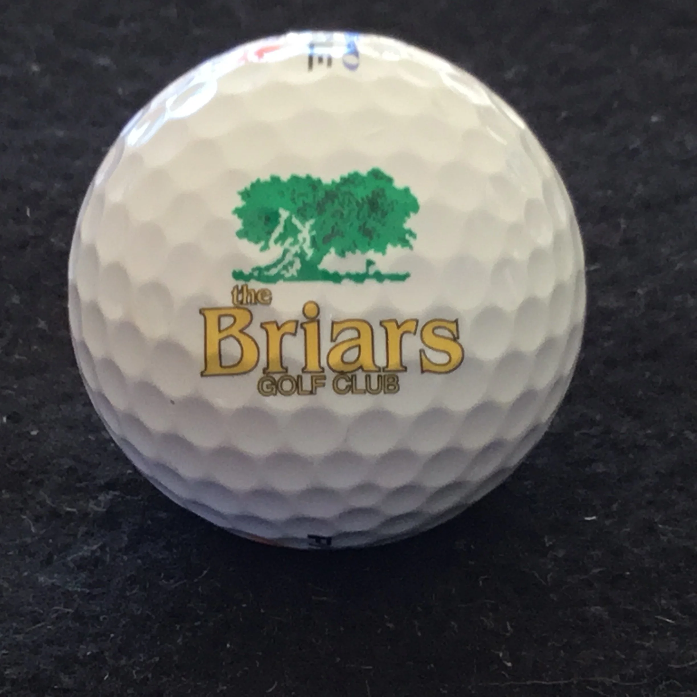 Briars - The Briars Golf Club