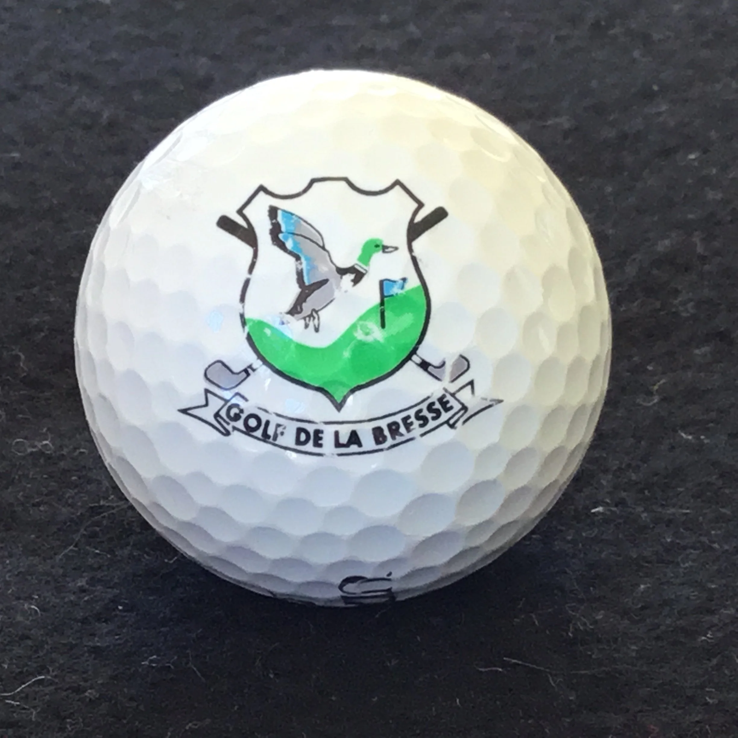 Bresse - Golf de la Bresse