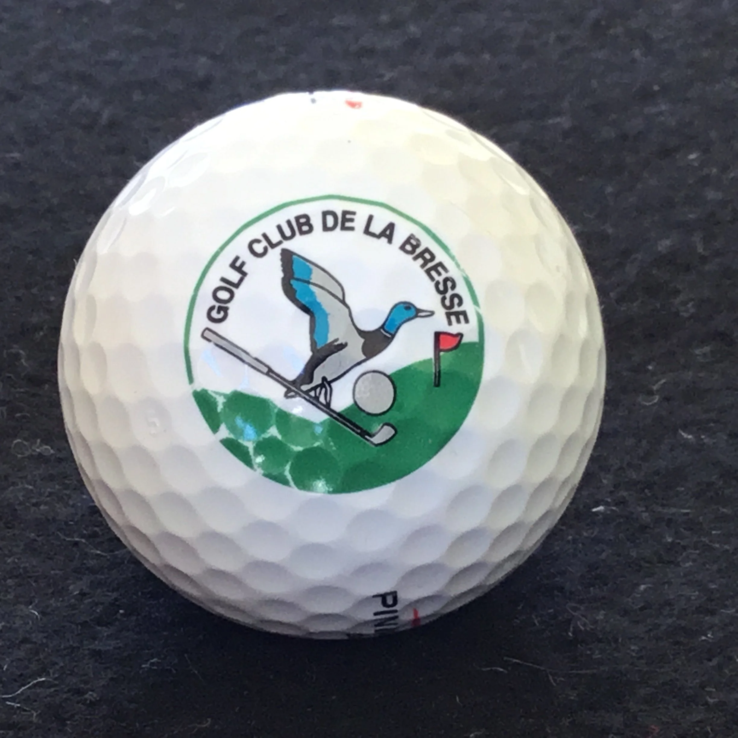 Bresse - Golf de la Bresse