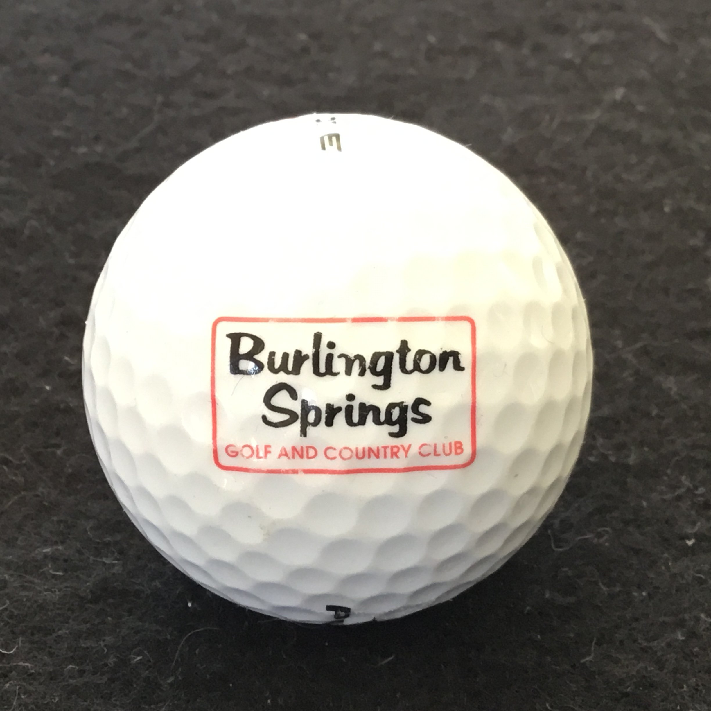 Burlington Springs Golf and Country Club