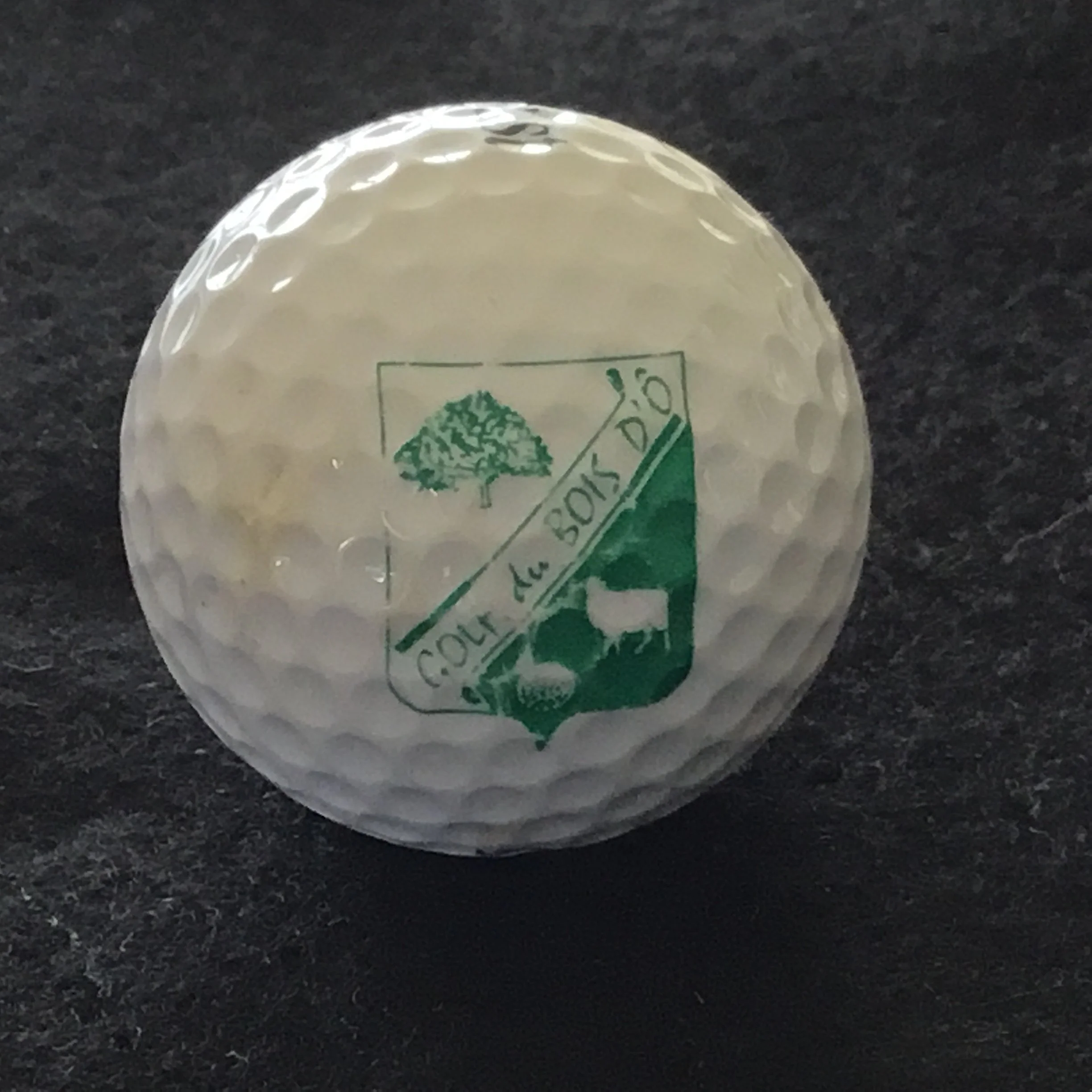 Bois D’O - Golf du Bois D’O