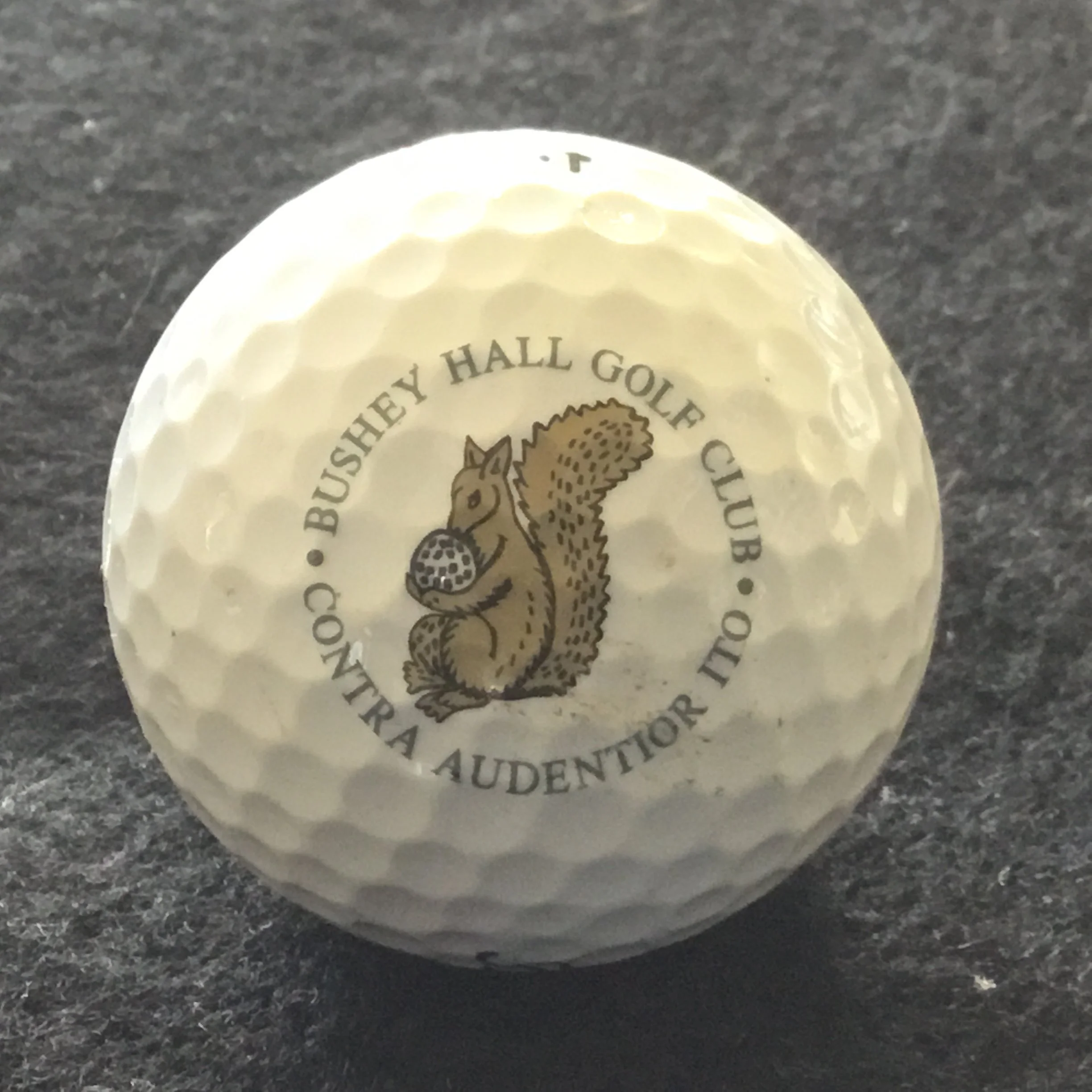 Bushey Hall Golf Club