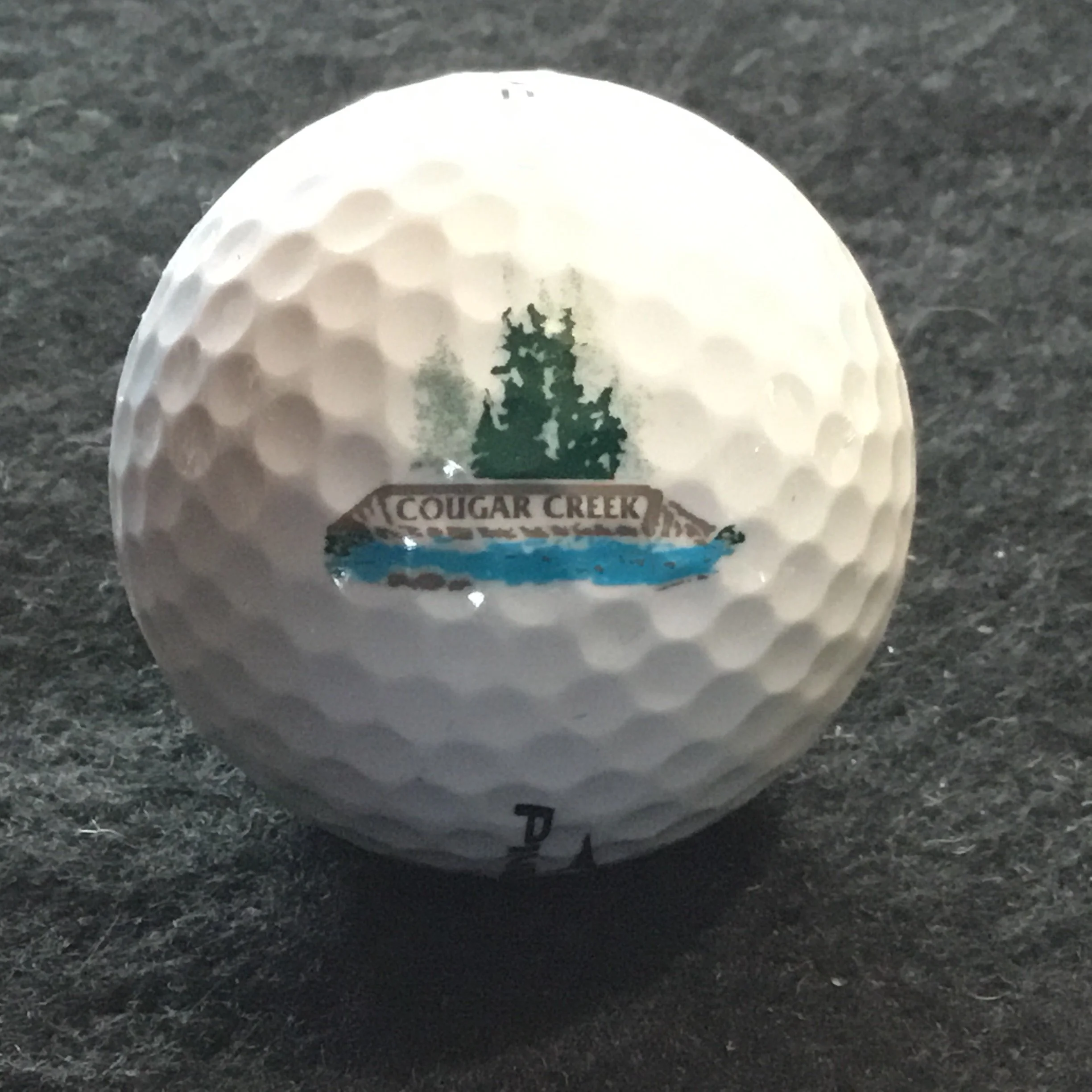 Cougar Creek Golf Resort