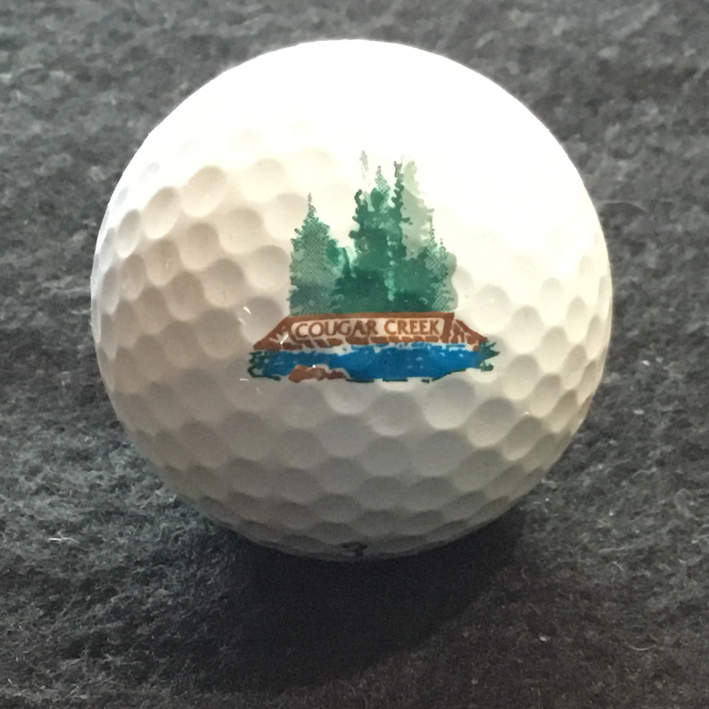 Cougar Creek Golf Resort