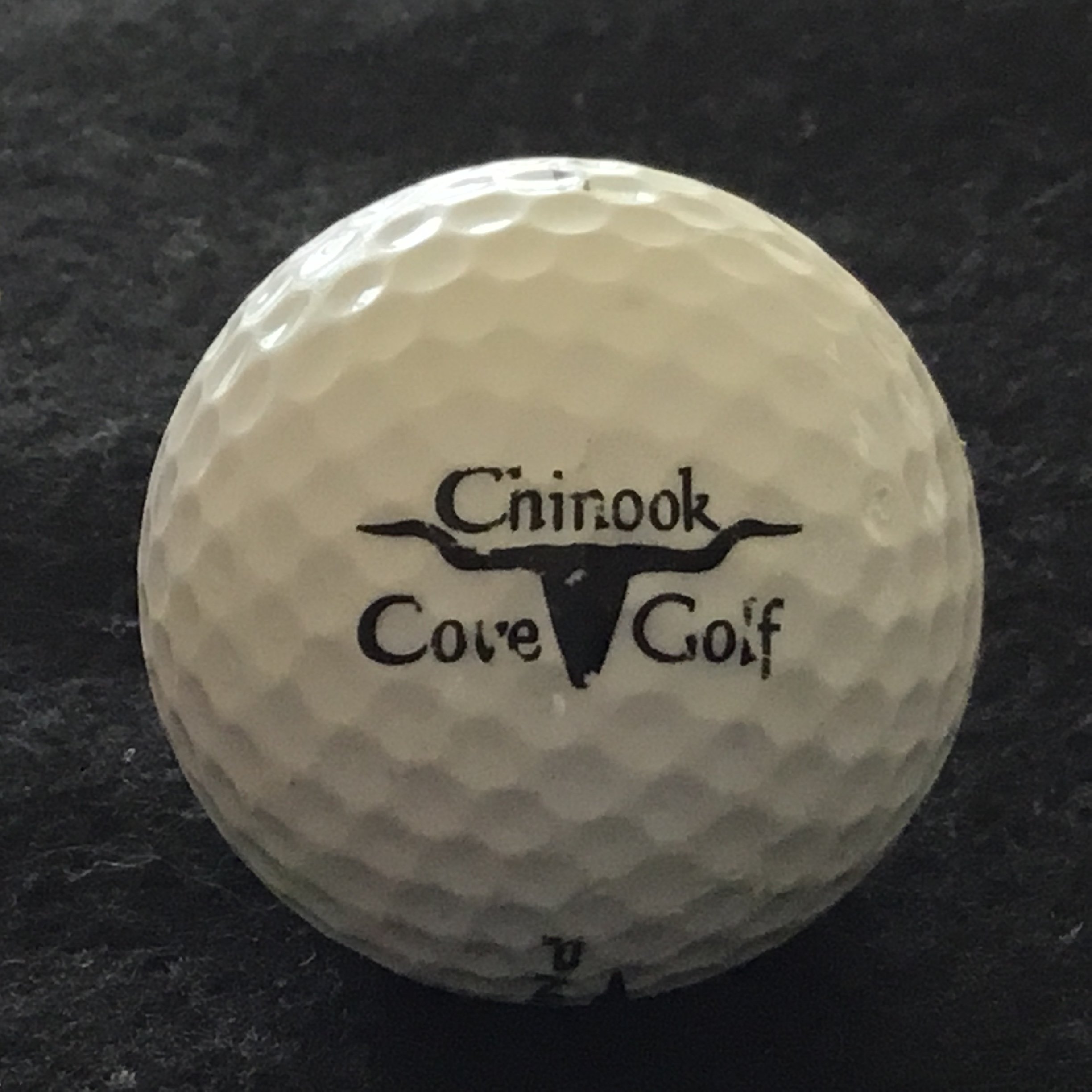 Chinook Cove Golf Course