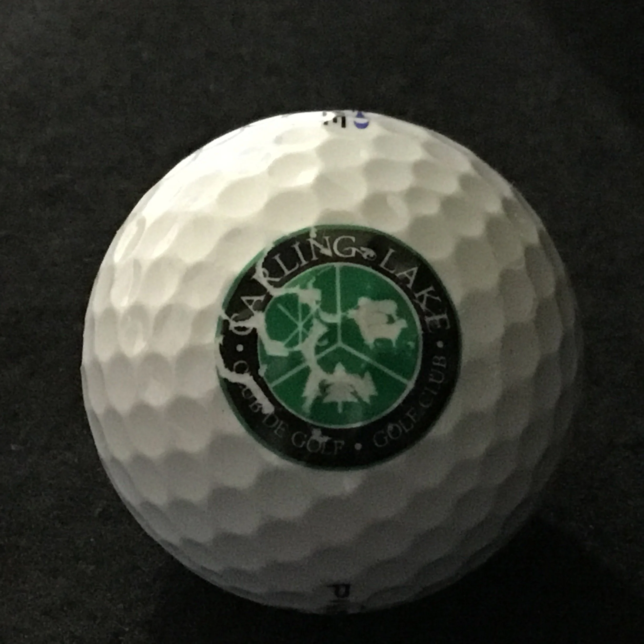 Carling Lake - Club de Golf Carling Lake